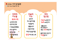 Needham사의 ROI Lintas사의 링크플랜-19