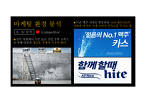 클라우드맥주 마케팅전략-9