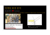 클라우드맥주 마케팅전략-10