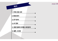 삼성화재 애니카 다이렉트마케팅전략-2