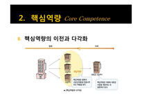 핵심역량기반 기업다각화 사례분석-19