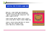 프로모션과 마케팅 전략사례분석-16