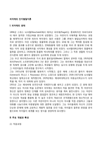 피아제의 인지발달이론-2