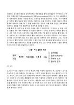 피아제의 인지발달이론-3