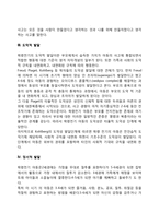 학령전기 아동의 발달특징 및 발달과제-5