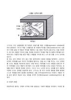 스키너의 조작적 조건형성이론(조작적 조건화)-3
