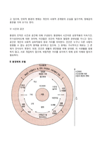 [생태학이론] 생태학적 이론의 개념과 특성, 환경체계모델(생태체계모델), 브론펜브레너 이론의 평가-5