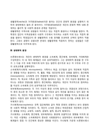 브론펜브레너의 생태학적 이론-4