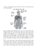 중장년기 신체발달-2