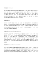 피아제의 인지발달이론의 주요개념, 인지발달단계, 인지발달이론의 사회복지실천에의 개입-4
