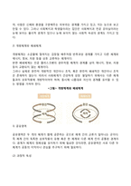 사회체계이론 레포트-5