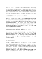 피아제 인지발달이론-6