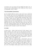 분석심리학(분석심리이론)의 주요 개념-3