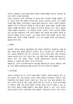 [인간발달] 인간발달의 개념과 원리 및 유형, 인간발달이론-4