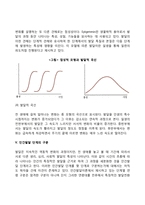 [인간발달] 인간발달의 개념과 원리 및 유형, 인간발달이론-6