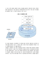 의사결정의 과정(의사결정에 있어 과정이 중요한 이유)-5