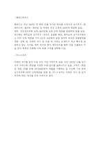 아모레퍼시픽 기업분석*성공요인*SWOT분석과 아모레퍼시픽 경영전략*해외진출전략 사례분석 -아모레퍼시픽 기업분석 레포트-17