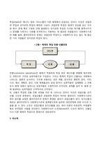 [체계이론의 특성] 체계의 구조적 특성, 행동적 특성, 진화적 특성(속성)-4