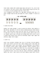 피아제의 인지발달단계-5