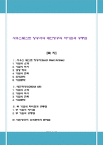 사우스웨스트 항공사와 대한항공의 차이점과 공통점-1