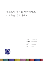 A+ 레포트표지 샘플-1