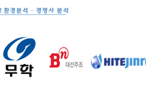 대선주조 마케팅전략/기업소개/환경분석/경쟁우위/STP,4P전략및매력도분석/결론및소감-8