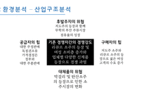 대선주조 마케팅전략/기업소개/환경분석/경쟁우위/STP,4P전략및매력도분석/결론및소감-10