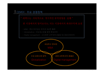 CEMEX의 해외직접투자-5