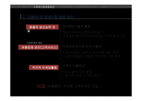 CEMEX의 해외직접투자-7
