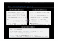 CEMEX의 해외직접투자-18