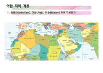 아랍지역과 대중문화-3