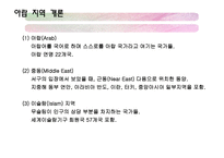 아랍지역과 대중문화-4