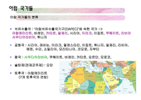 아랍지역과 대중문화-6