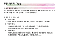아랍지역과 대중문화-7