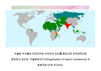 아랍지역과 대중문화-8