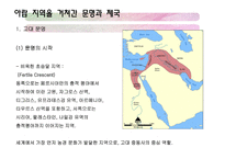아랍지역과 대중문화-10