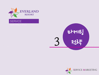 애버랜드 서비스 마케팅전략-17