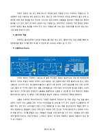 이케아(IKEA)의 글로벌 경영 성공 및 실패사례-8