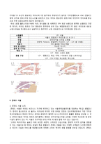 IFC SEOUL PROJECT 부동산개발사례-13
