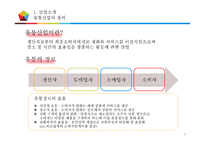 쿠팡의 인도시장 진출 방안-4