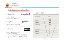 쿠팡의 인도시장 진출 방안-10