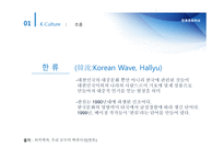 한류문화허브 레포트-5