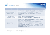 한류문화허브 레포트-12