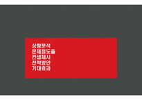 정관장몰 활성화방안과 고객유치 및 유지전략-2