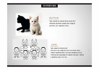 중국 개혁 개방 30년의 성과-11