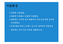 브랜드 포토폴리오 전략 Brand Portfolio-3