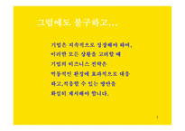 브랜드 포토폴리오 전략 Brand Portfolio-5