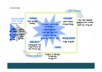 브랜드 포토폴리오 전략 Brand Portfolio-11