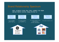 브랜드 포토폴리오 전략 Brand Portfolio-12