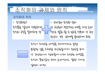 조직화(Orgnizing)-3
